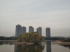 -长白岛森林公园
