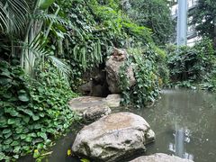 -郑州植物园