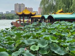 -济南大明湖景区