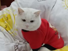 -东关历史文化旅游区-东门遗址