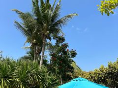 -三亚海棠湾万丽度假酒店