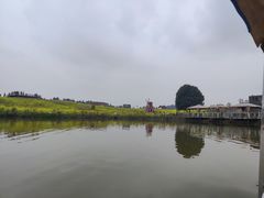 -空港花田景区