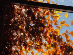 -VOYAGE COFFEE(北锣鼓巷店)