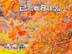 -香山公园