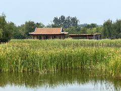 -张家湾公园