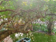 -人民公园(罗湖区)