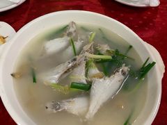 -蛇口康乐快餐鱼仔档(翠苑小区店)