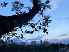 -悦哉·派对·草坪婚礼·围炉煮茶(三圣乡店)