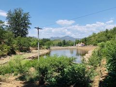 -黄金寨原生态旅游区