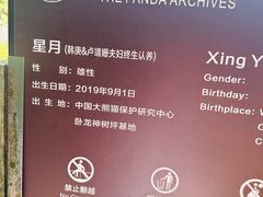 -都江堰中华大熊猫苑