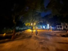 -普陀山风景名胜区-法雨禅寺