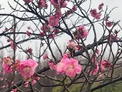 -艾溪湖湿地公园