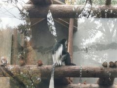-合肥野生动物园