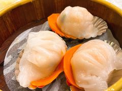 金牌水晶虾饺-中山国际酒店中餐厅