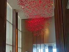 -嘉定凯悦·咖啡厅