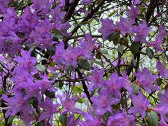 -九街淑芬掌中宝串串公司(内街文化创意园店)