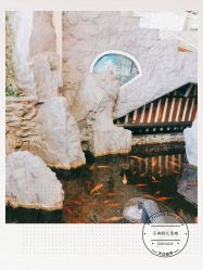 -五洲妇儿医院