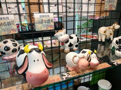 -瑞穗牧场