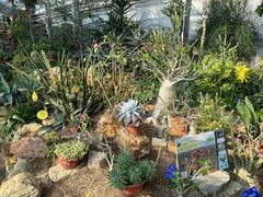 -国家植物园南园