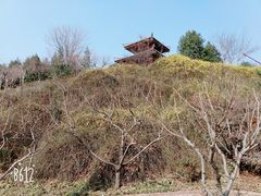 -宝鸡植物园