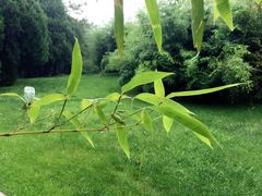 -北京宽沟会议中心