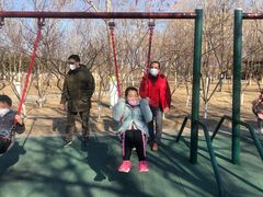 -大兴滨河森林公园