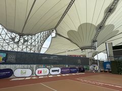 -Our Pickleball多多动匹克球俱乐部(世博源店)