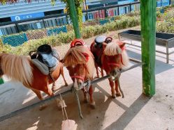 -萌宠亲子动物乐园(槐房万达店)