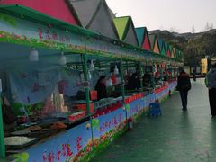 -大宁郁金香公园-停车场