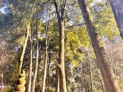 -青城山