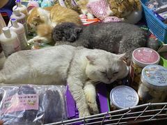-吴山路夜市