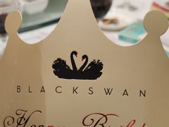 -BLACKSWAN黑天鹅(环球店)