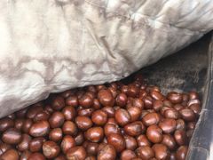 -黑孩油栗皇(南阳路店)