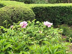 -黑龙江省森林植物园