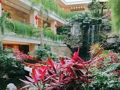 -广州白天鹅宾馆