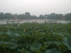 -小王府(什刹海店)