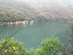 -郧西五龙河风景区