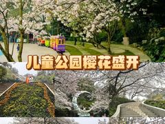 -杭州少年儿童公园