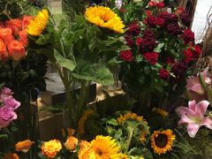 -谷莠子花艺·气球派对·绿植造景·花艺沙龙(金光华广场店)