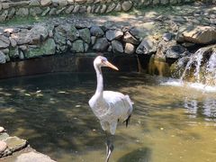 -燕塞湖鸟语林景区