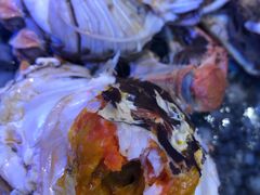 -农家霸王地锅鸡(国顺东路店)