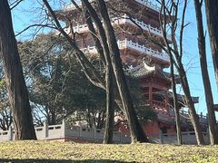 -思念果岭悦温泉