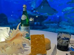 -亚特兰蒂斯•OSSIANO奥西亚诺海底餐厅