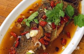 Golden Old-Fashioned Burnt Fish