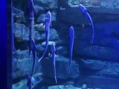 -皇家极地海洋世界-售票处