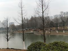 -白塘生态植物园