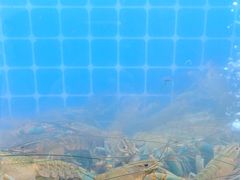 -为民烧烤吧.自贡爆炒菜(收录10年好店)