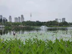 -映月湖公园