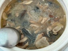 -蘑统田下·野生菌火锅
