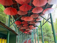 -陶祖圣境风景区